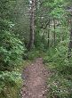 Le sentier dans le ravin des Eyguières