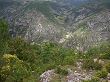 Au-dessus des Gorges du Tarn