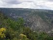 Au-dessus des Gorges du Tarn